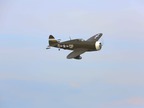 P-47D-1 Thunderbolt 60 ARF